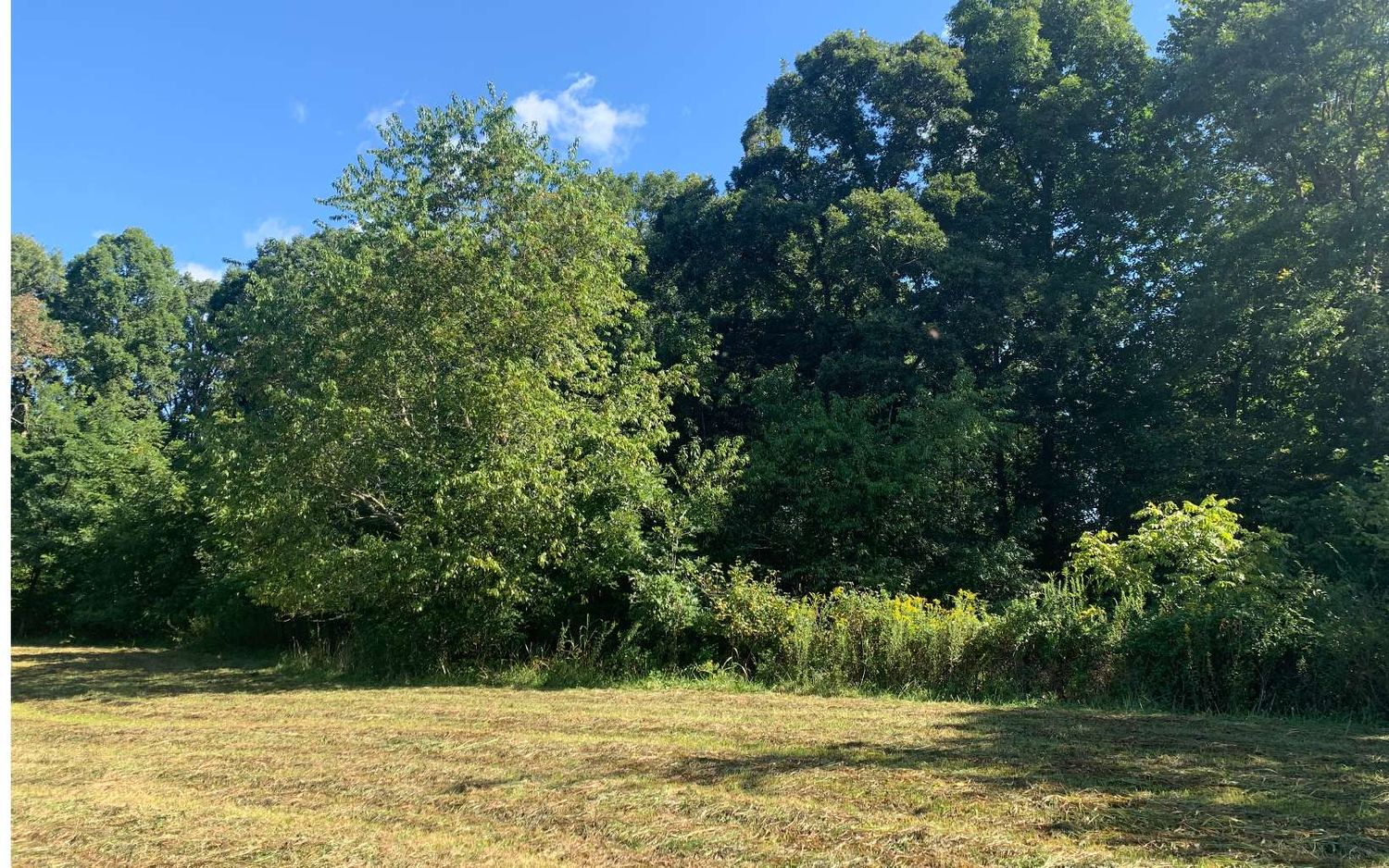 69 Hwy 64 W, Hayesville, NC 28904